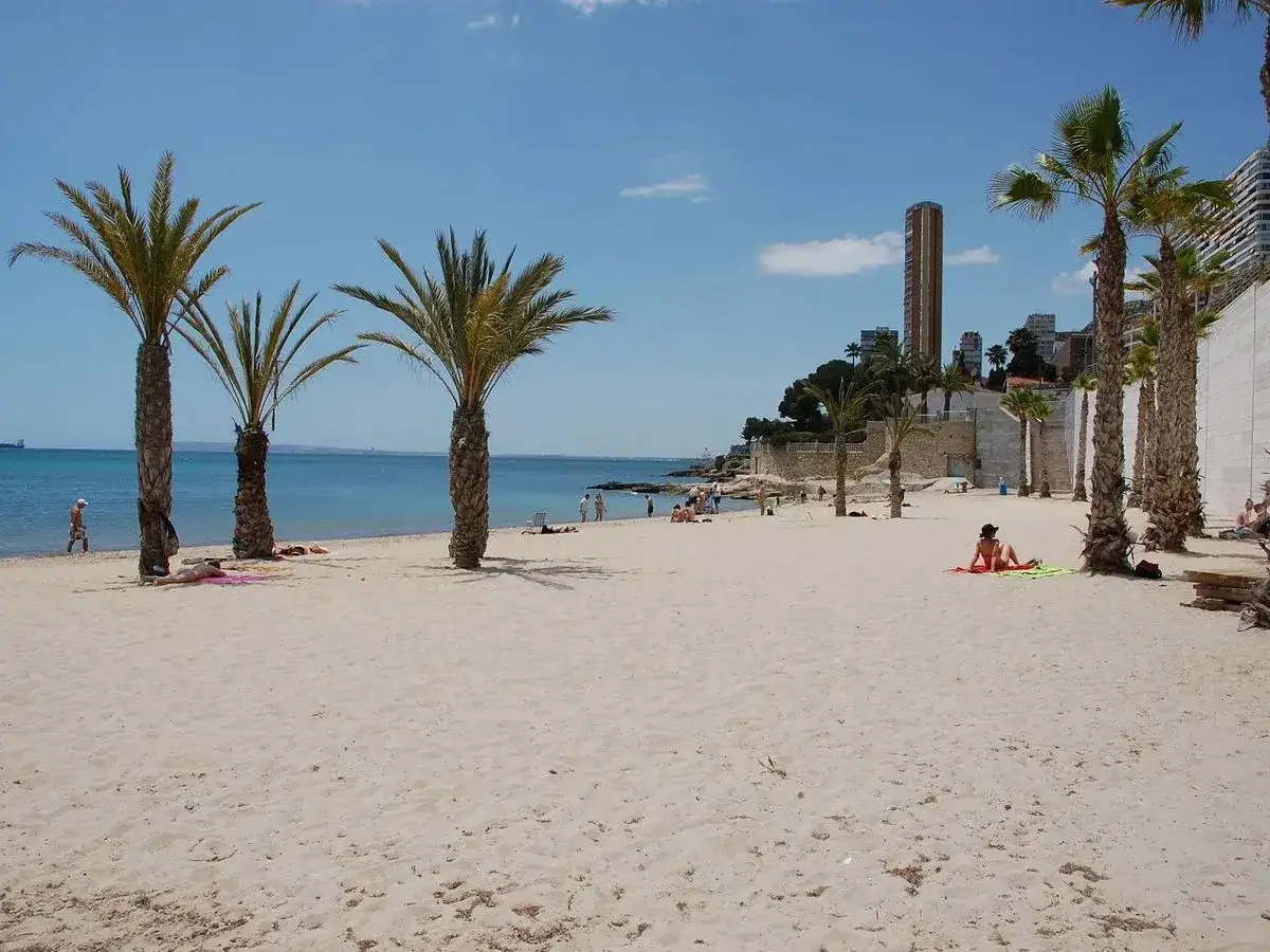 Arena dorada y palmeras en la playa blanca Alicante. Gente disfrutando del sol y el mar azul bajo un cielo despejado.