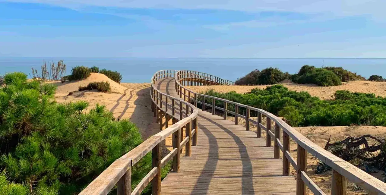 Pasarela de madera serpentea por las dunas de arena y vegetación hacia el mar azul en la playa Los Tusales.