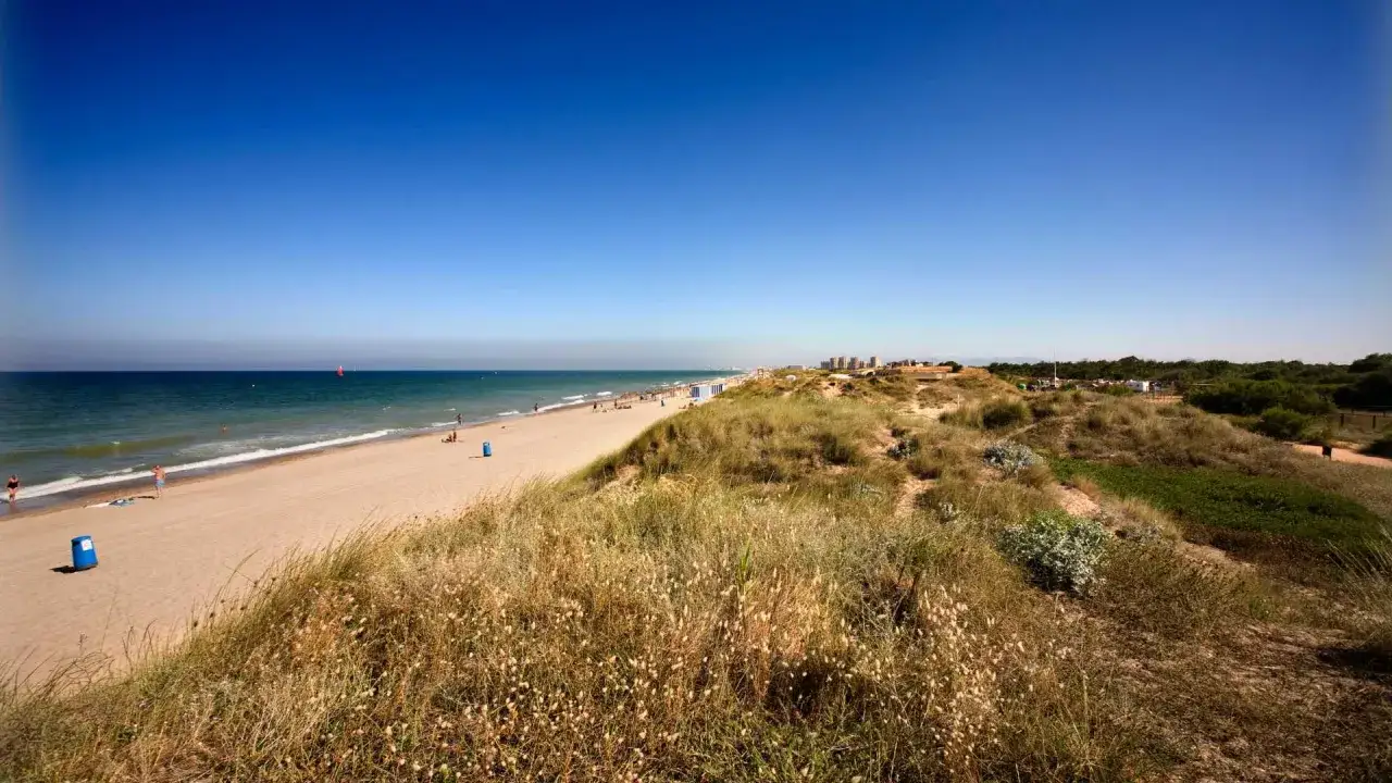 Amplia vista de la playa de la Garrofera con dunas cubiertas de hierba seca y baja vegetación. El mar azul se extiende hasta el horizonte bajo un cielo despejado.
