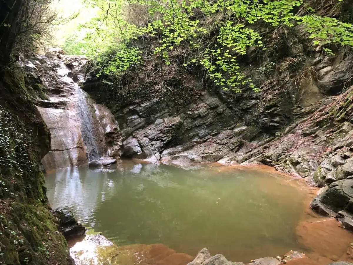 El gorg dels Banyuts, una joya escondida entre rocas y vegetación, con una cascada que alimenta un estanque de aguas verdes.